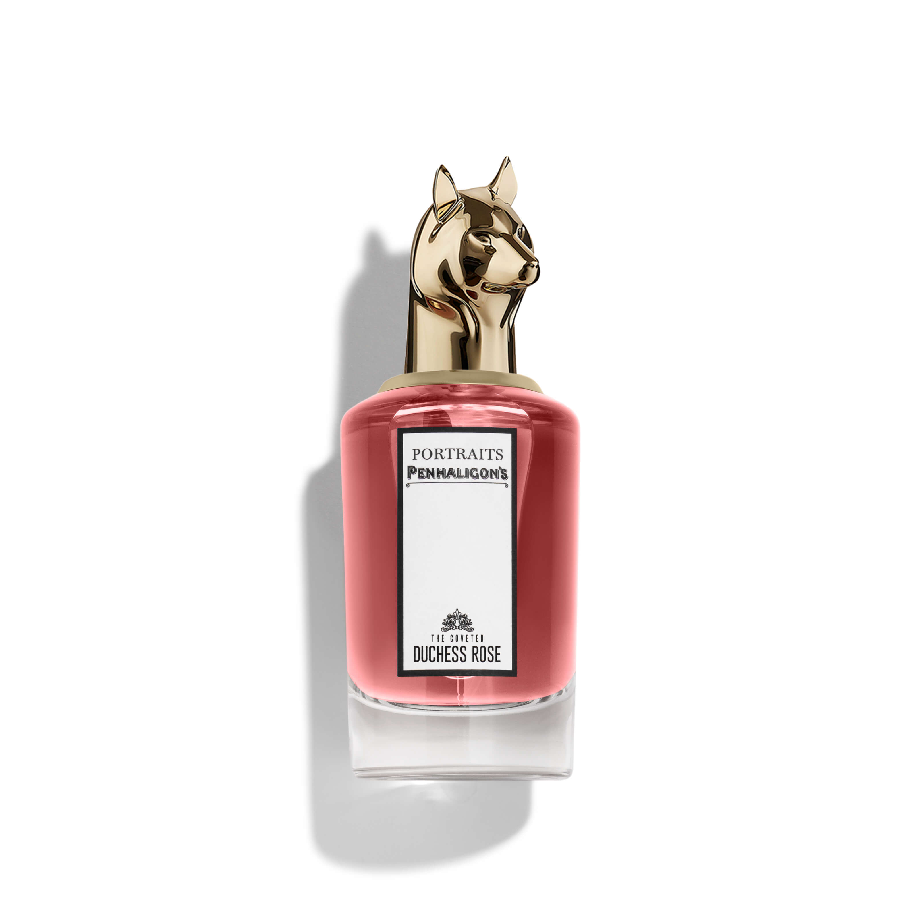THE COVETED DUCHESS ROSE