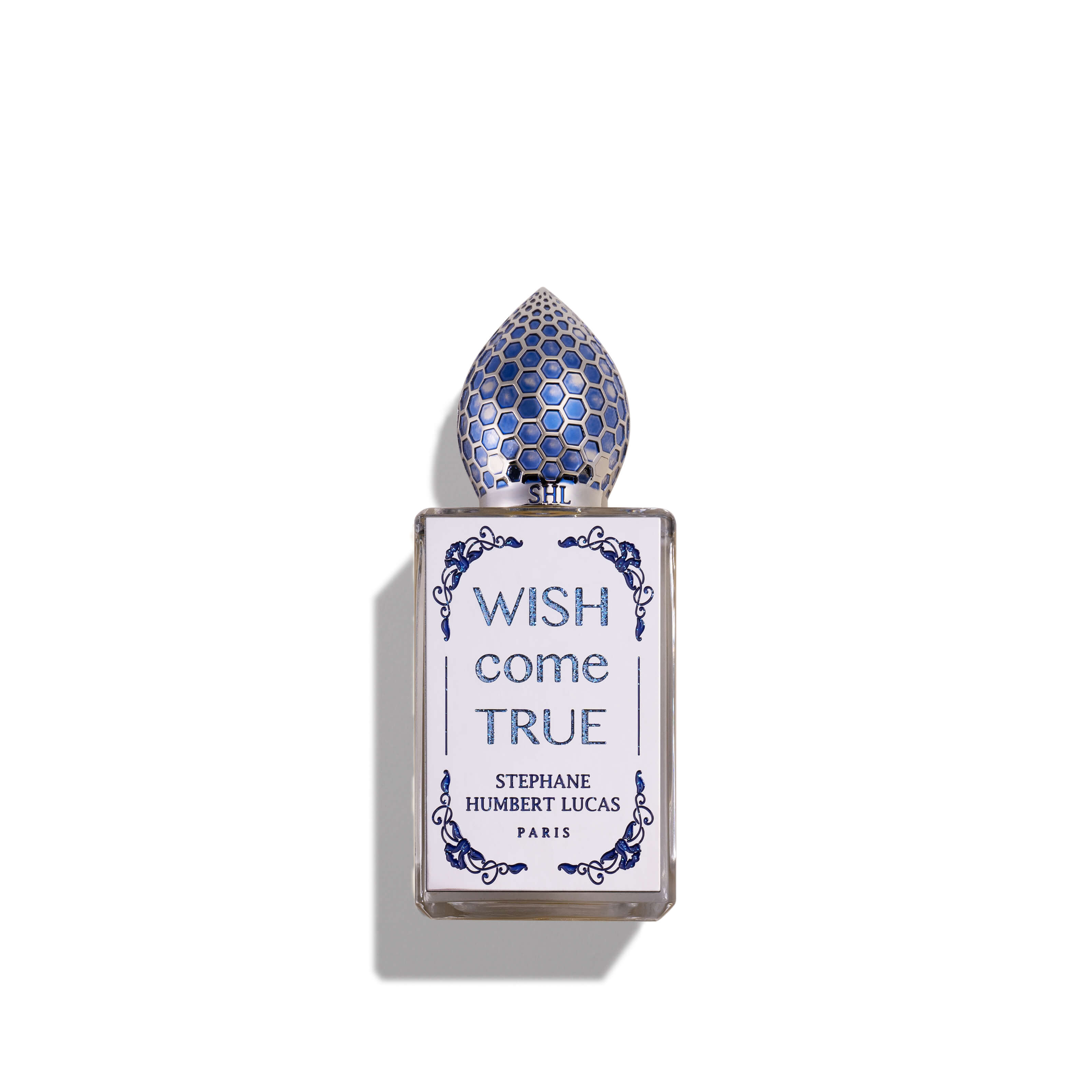 WISH COME TRUE