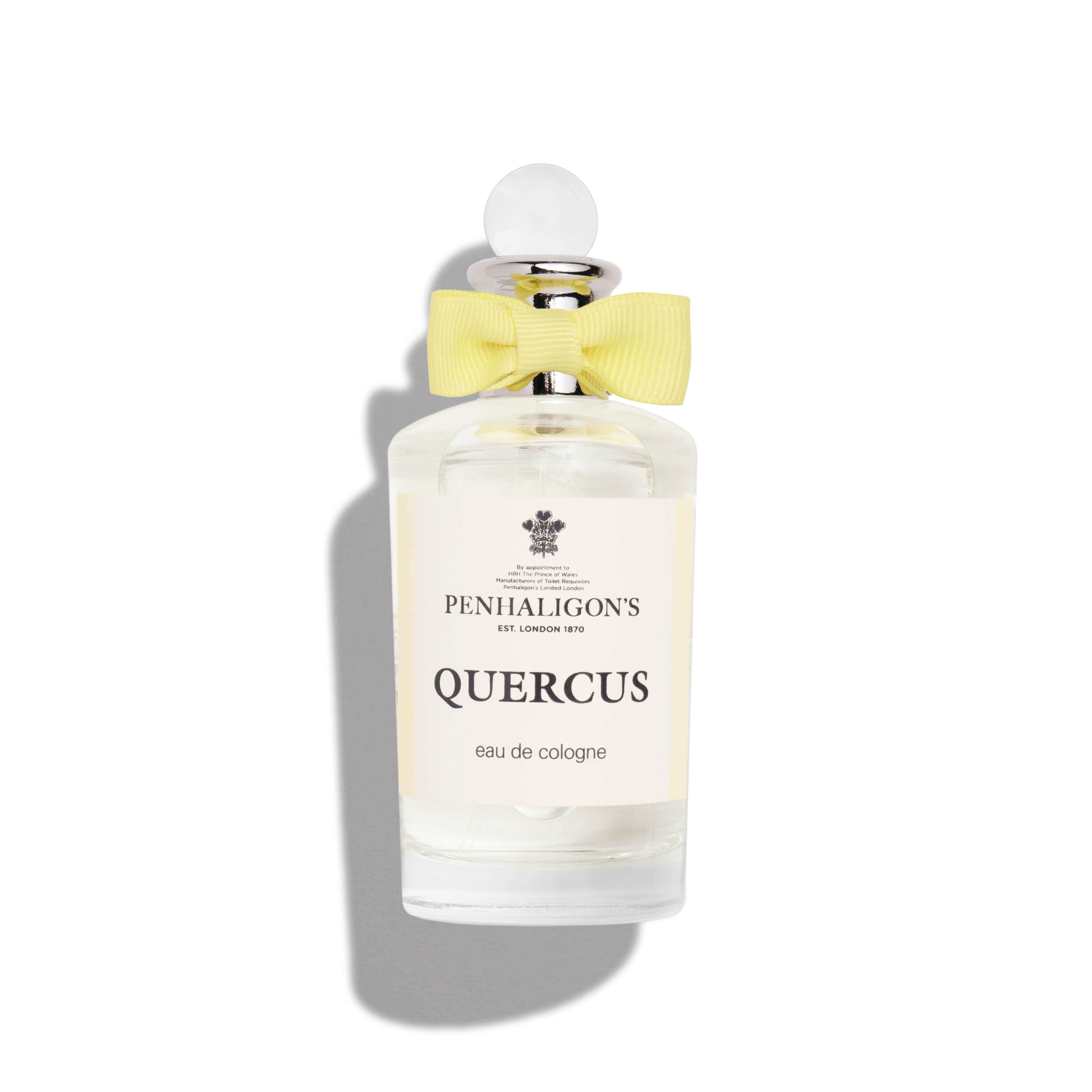 QUERCUS
