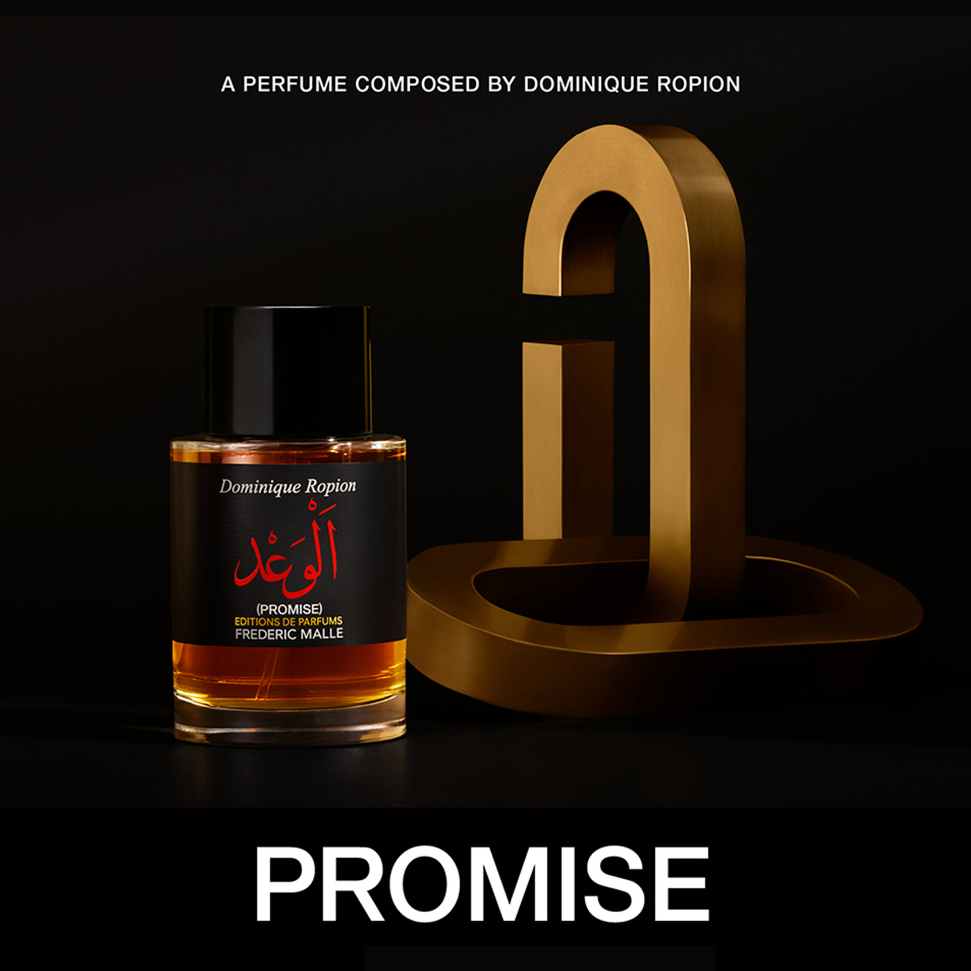 PROMISE