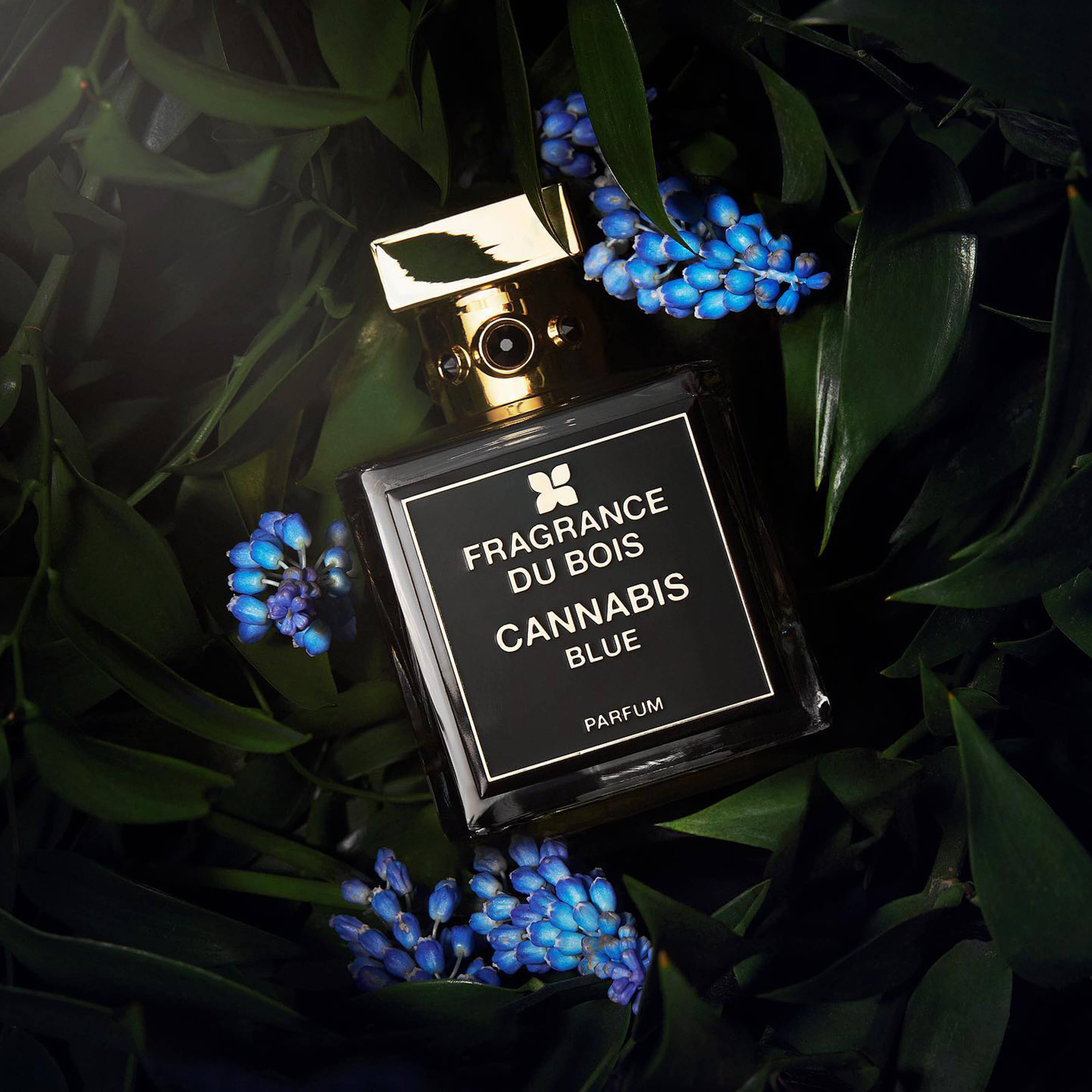 CANNABIS BLUE