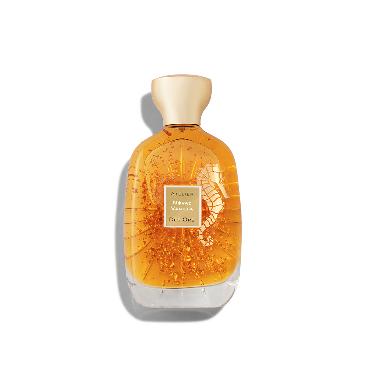 NOVAE VANILLA
