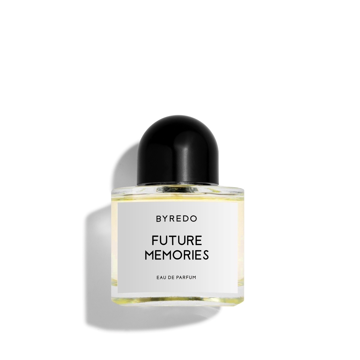 FUTURE MEMORIES