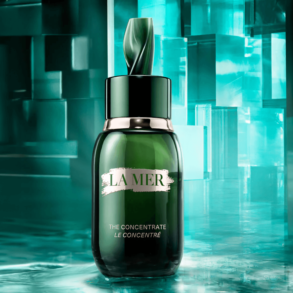 THE NEW CONCENTRATE