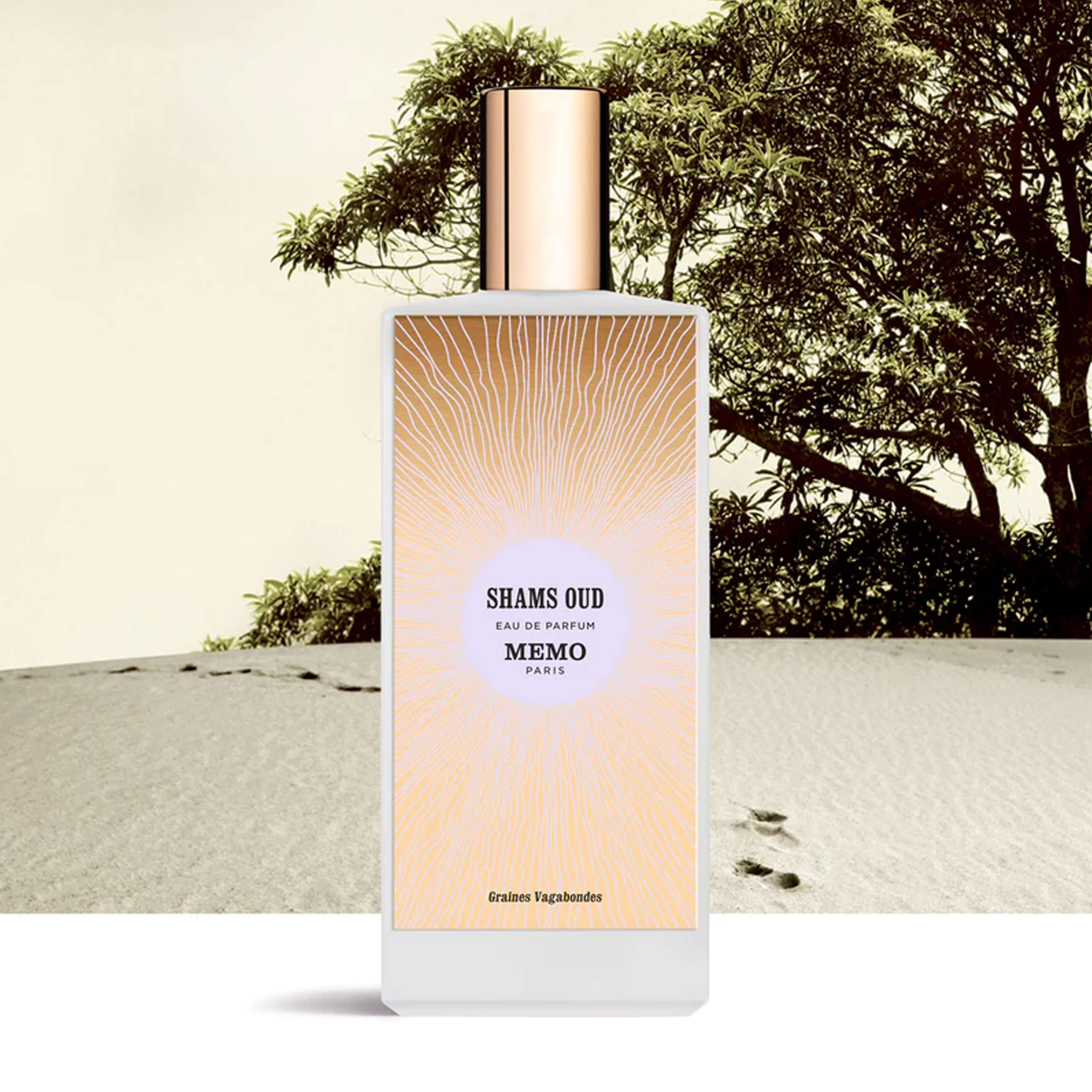 SHAMS OUD