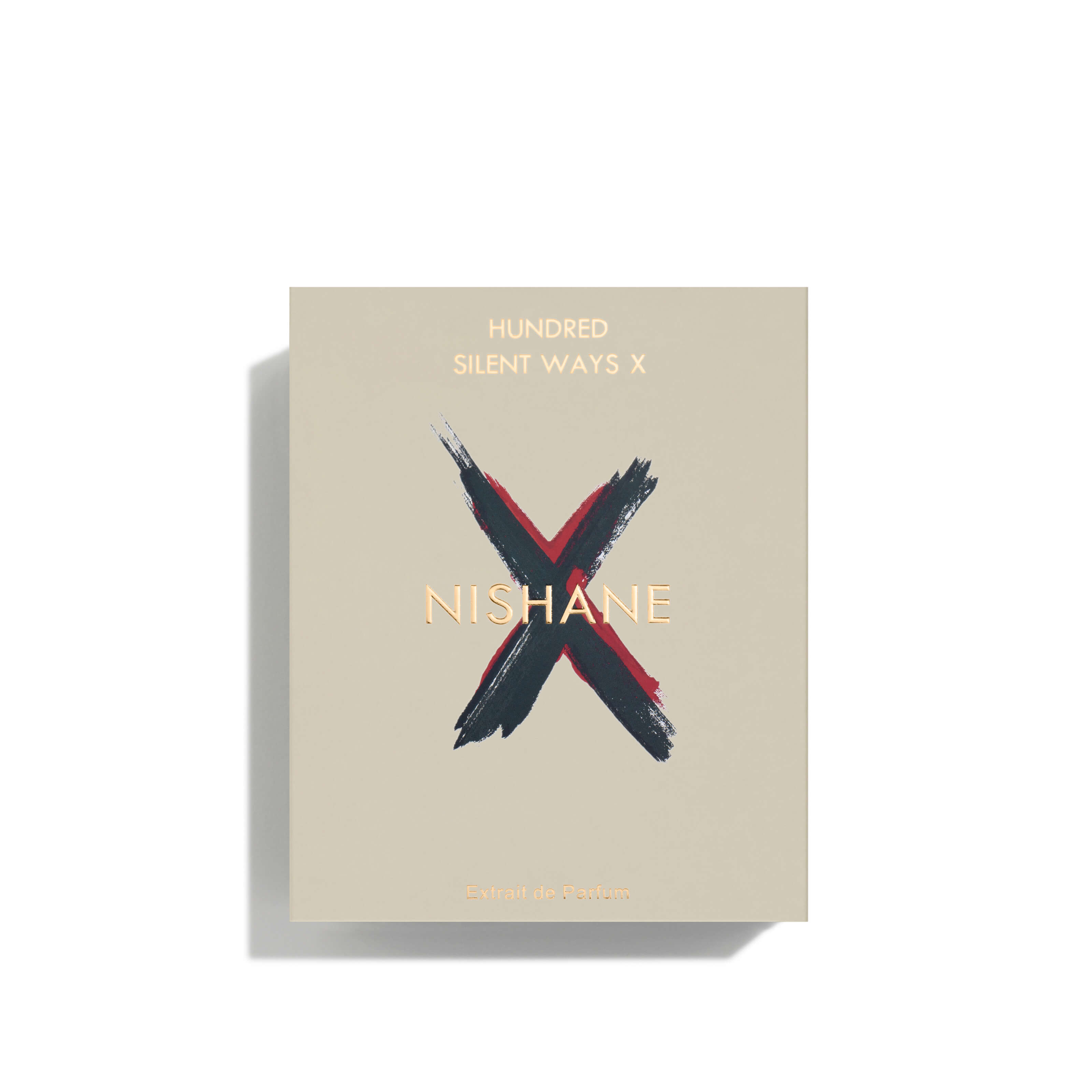 HUNDRED SILENT WAYS X