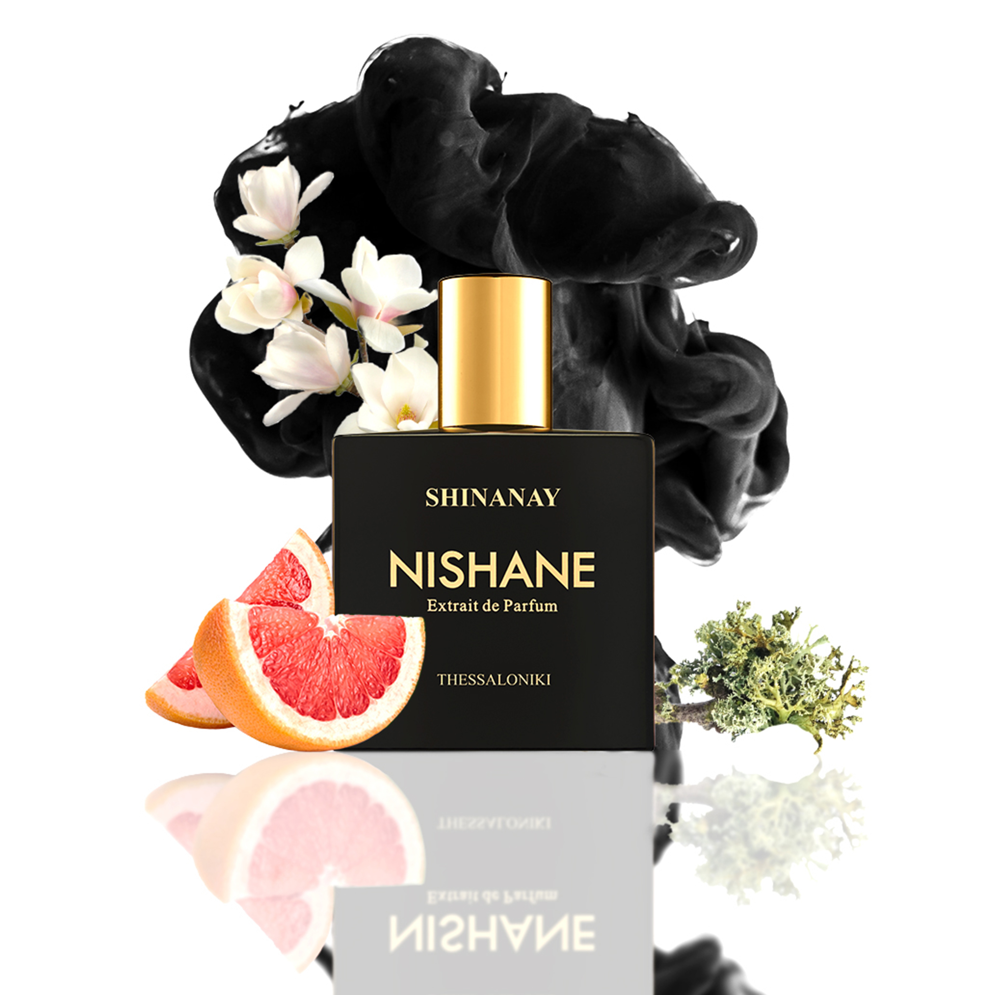 SHINANAY