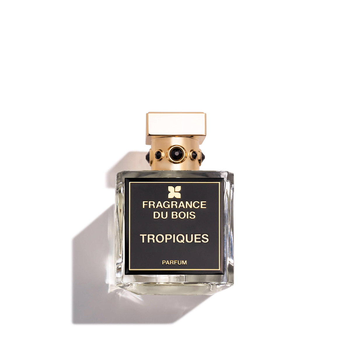 TROPIQUES