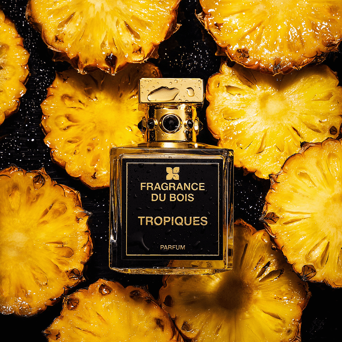 TROPIQUES