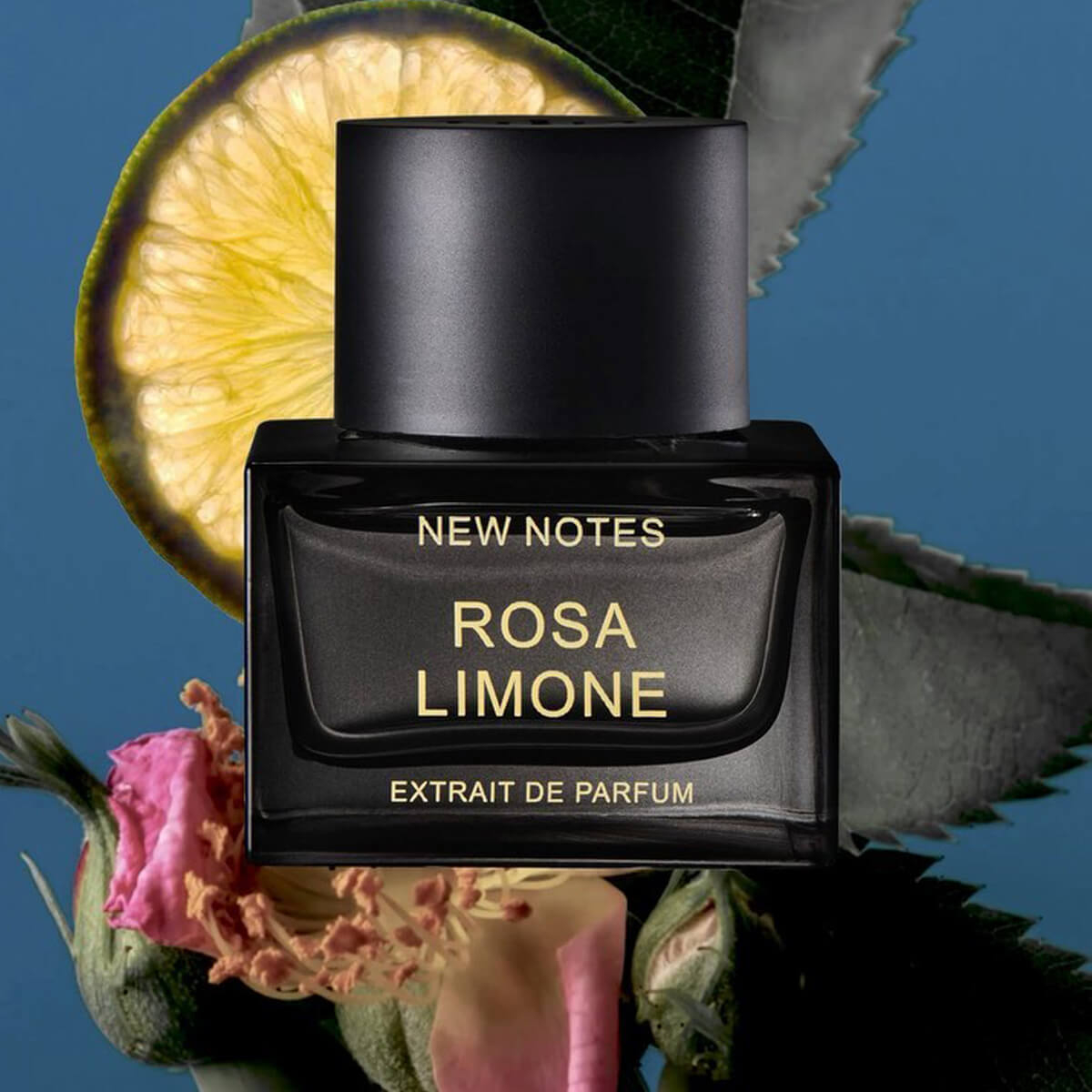 ROSA LIMONE
