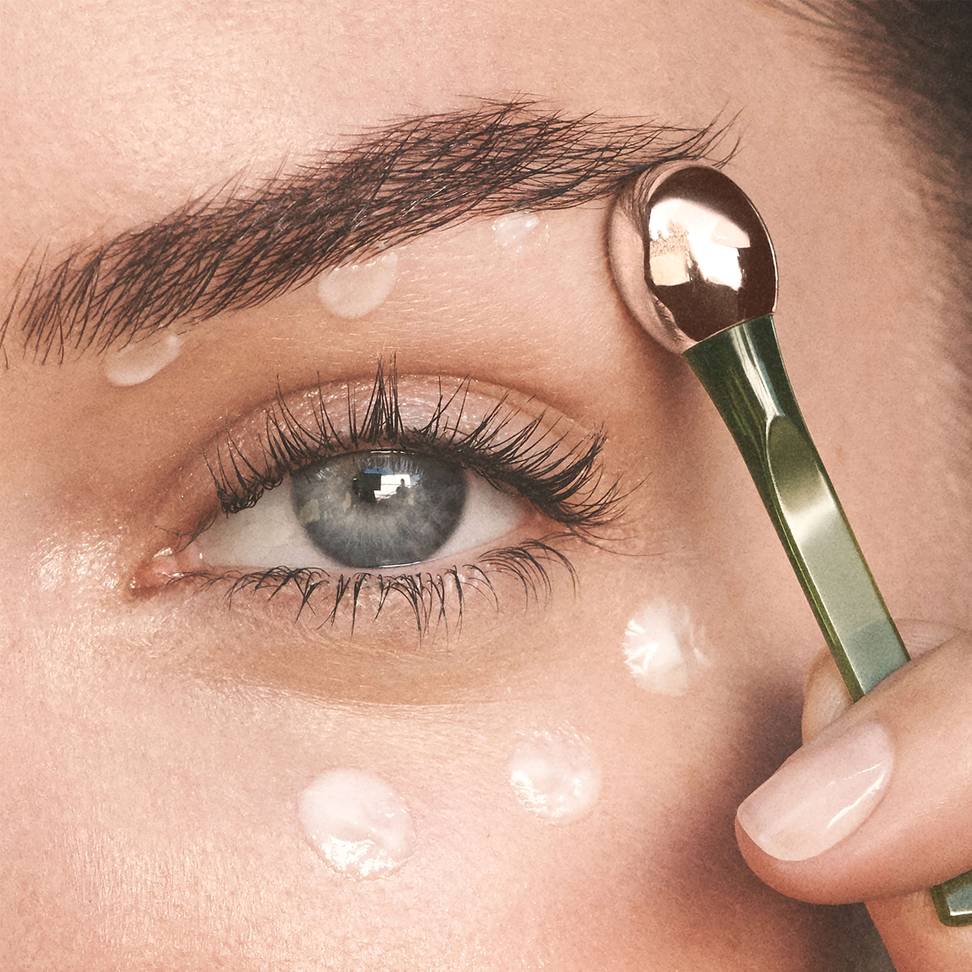 THE EYE CONCENTRATE